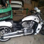Harley Muscle1