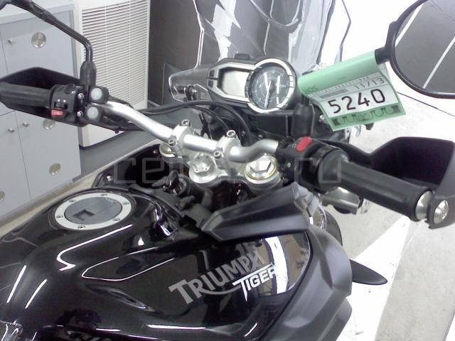 Triumph Tiger 800 - в Москве