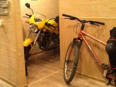 фотография (3)