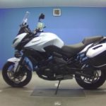 Kawasaki VERSYS 650 (9)