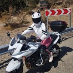Отзыв suzuki bandit-1250s