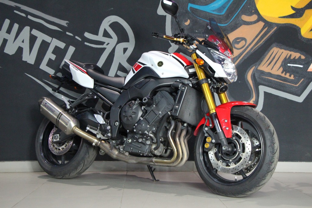 Yamaha fz1 Р’РёР»Р»Рё